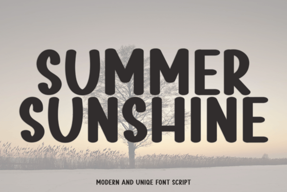 Summer Sunshine: The Charming Display Font for Creative Projects